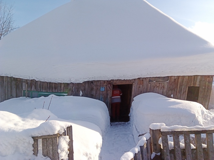 Все живы. У бабушки давление.