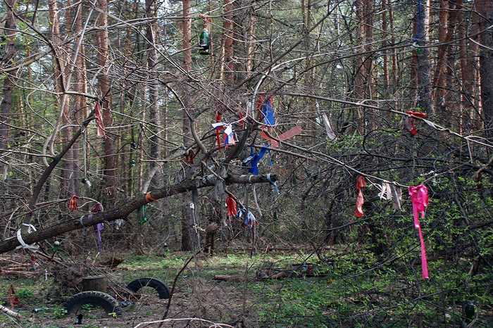 Поляна невест