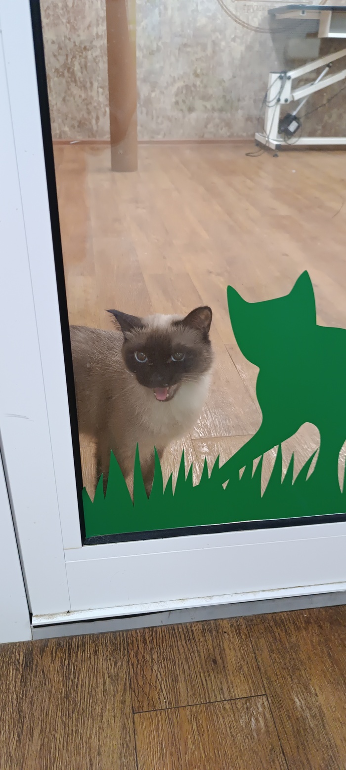 Давно не было...