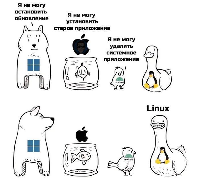    Linux) IT ,   , , Linux, Windows, iOS, Android, Telegram ()