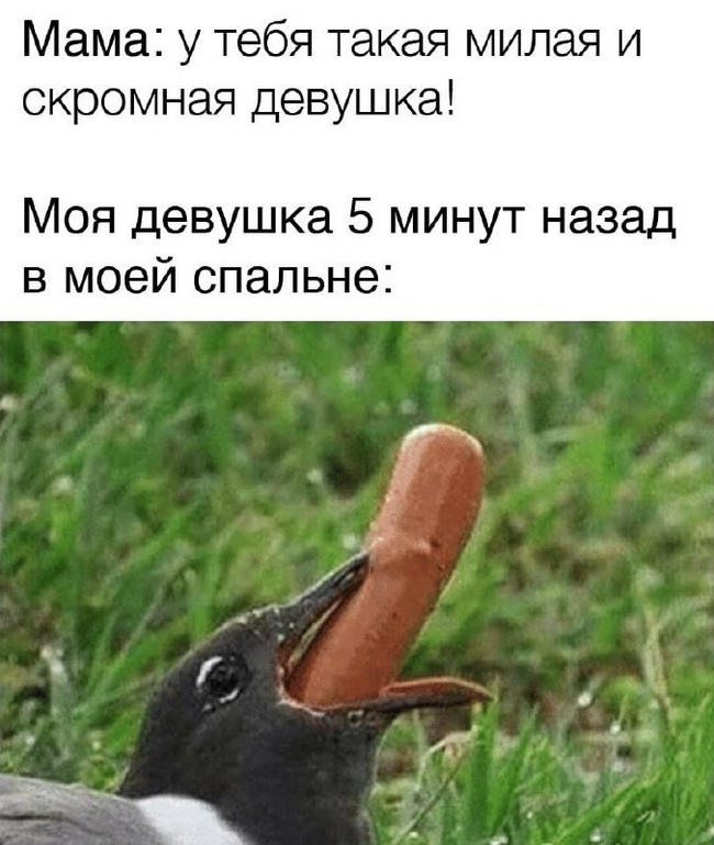  , Telegram (),   