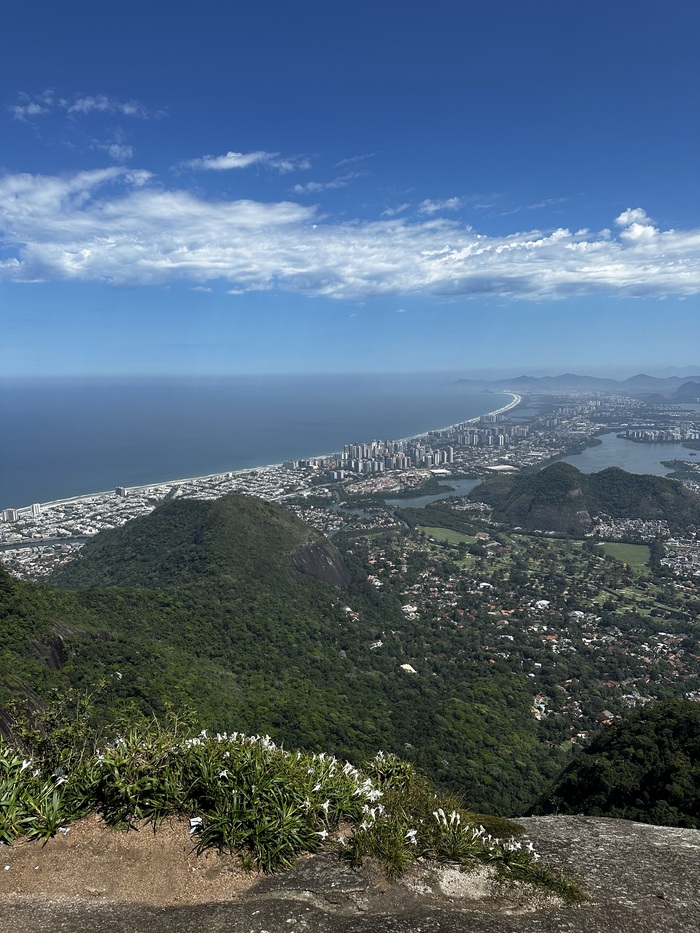 �����, ��� ������� ������������ ���� �����