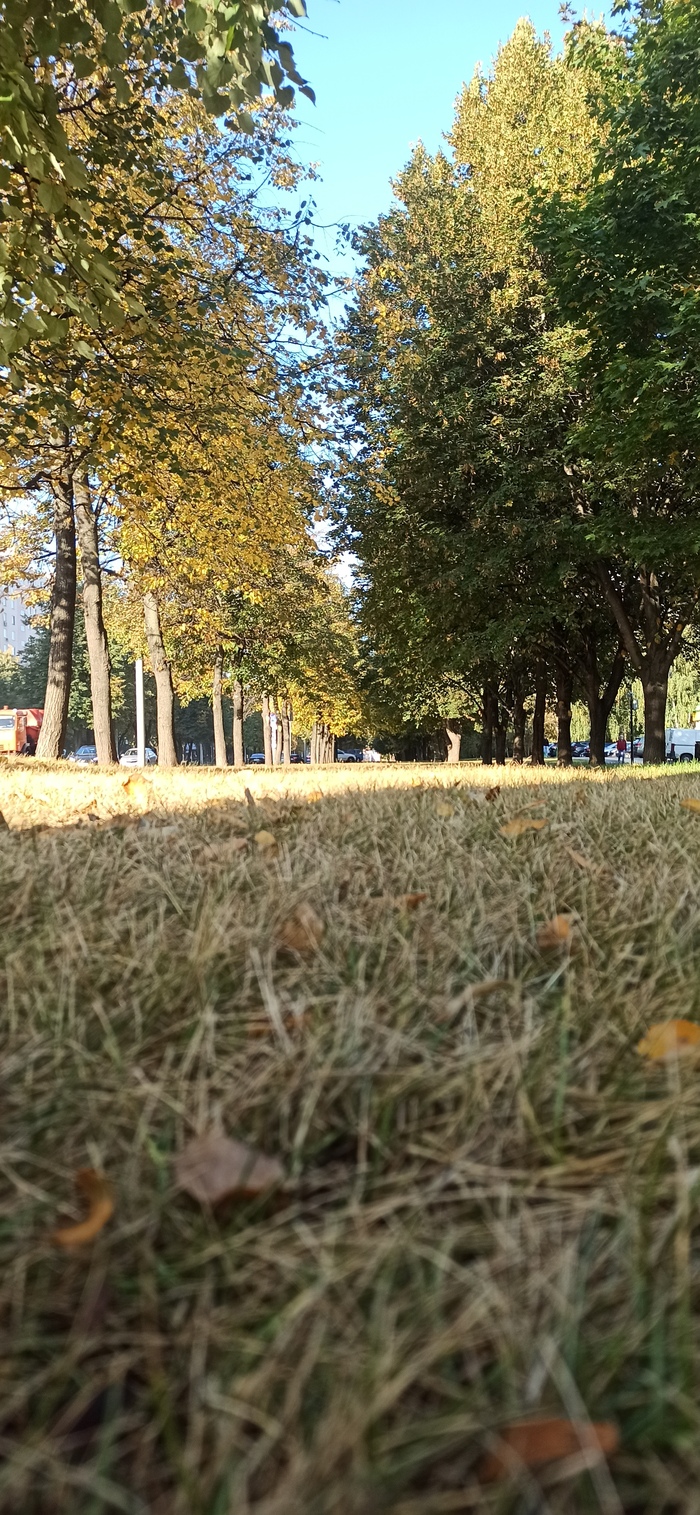 ���� ����� ����� ���������� ������� �������� 5000 ������, ��������� ������� ������ ����� ����� 2023 ����