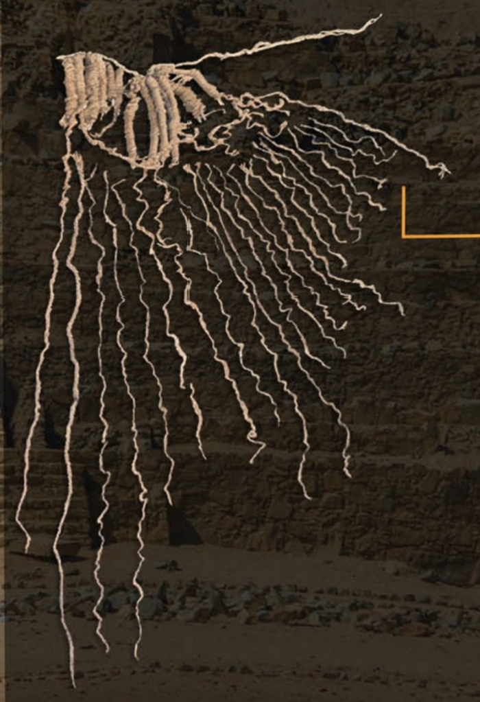 Не самое удачное фото, но лучше нет / Zona Arqueológica Caral