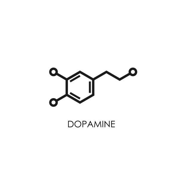 Как мы попадаем в ловушку дофамина?