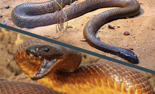        .    ,        ,    ,   .