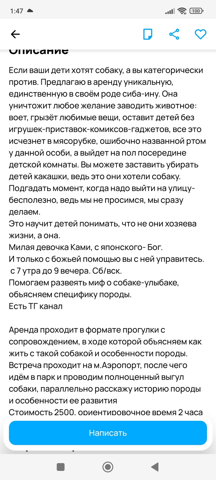 ������ �����������