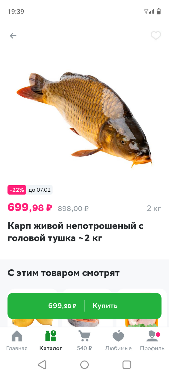 Чувство юмора | Пикабу