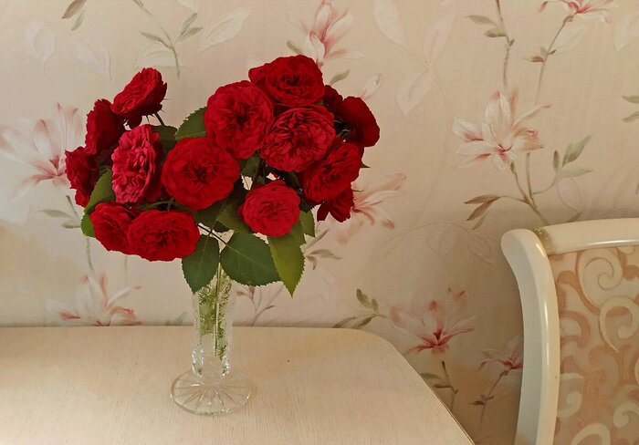 � ���� ����� ���� "Black Piano" � ����� �� ����� - ���������, �������� �� ��� ��������� �������� � ����� ������� ����. � ����� ������� ������ ����, �� "������ �������" � ��� ��� ����� � ���� � ���������� � �������� ����������� ������������� ������ �������!