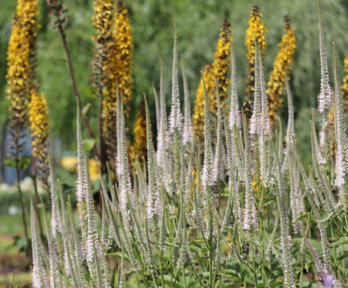 �������� ����� � ����, ���� ���