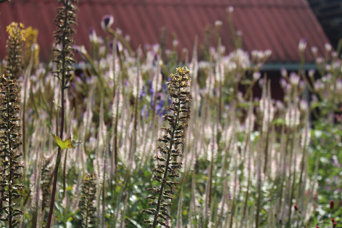 � ��������� �������� ����� � ��������, ���� ���