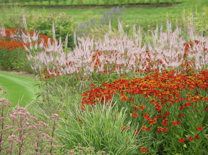 �������� ������� (���� ���������������)