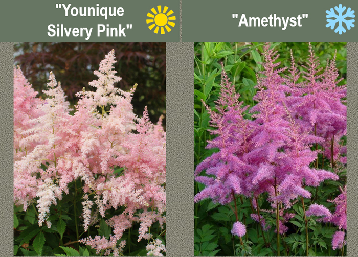 ������ ( � ���������) � �������� (�� ���������) ������� ���� � �������