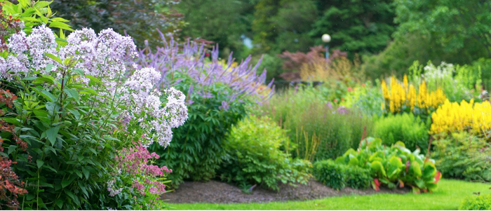 ������������� ���������� �� ������-��������� ������������� � ���������� ����������� ��������.