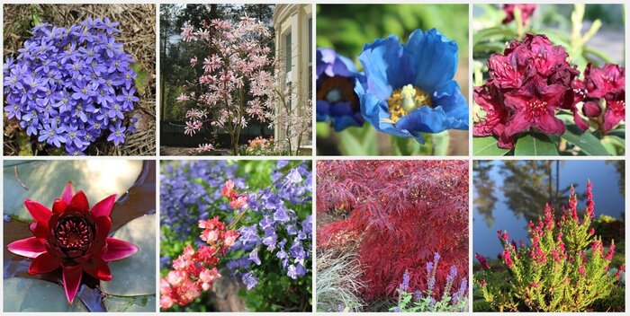 �������� ������ ����, ������ � ��� - �� ����� <!--noindex--><a href="https://pikabu.ru/story/landshaftnyiy_praktikum__58_okonchanie_11117755?u=http%3A%2F%2Fspb-sad.ru&t=spb-sad.ru&h=3d30bffa1d6536ad567d52a990353b3f3811247b" title="http://spb-sad.ru" target="_blank" rel="nofollow noopener">spb-sad.ru</a><!--/noindex-->