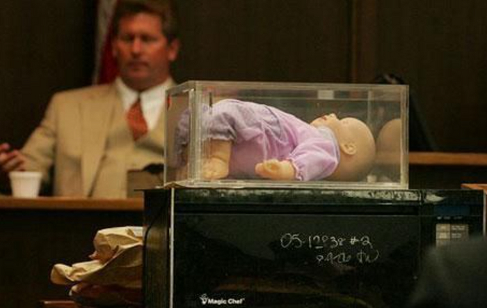 Та самая микроволновка и манекен, иллюстрирующие следственный эксперимент