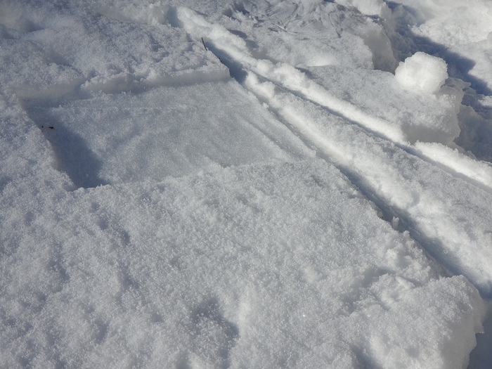 Под белой тканью снег нисколько не подтаял.