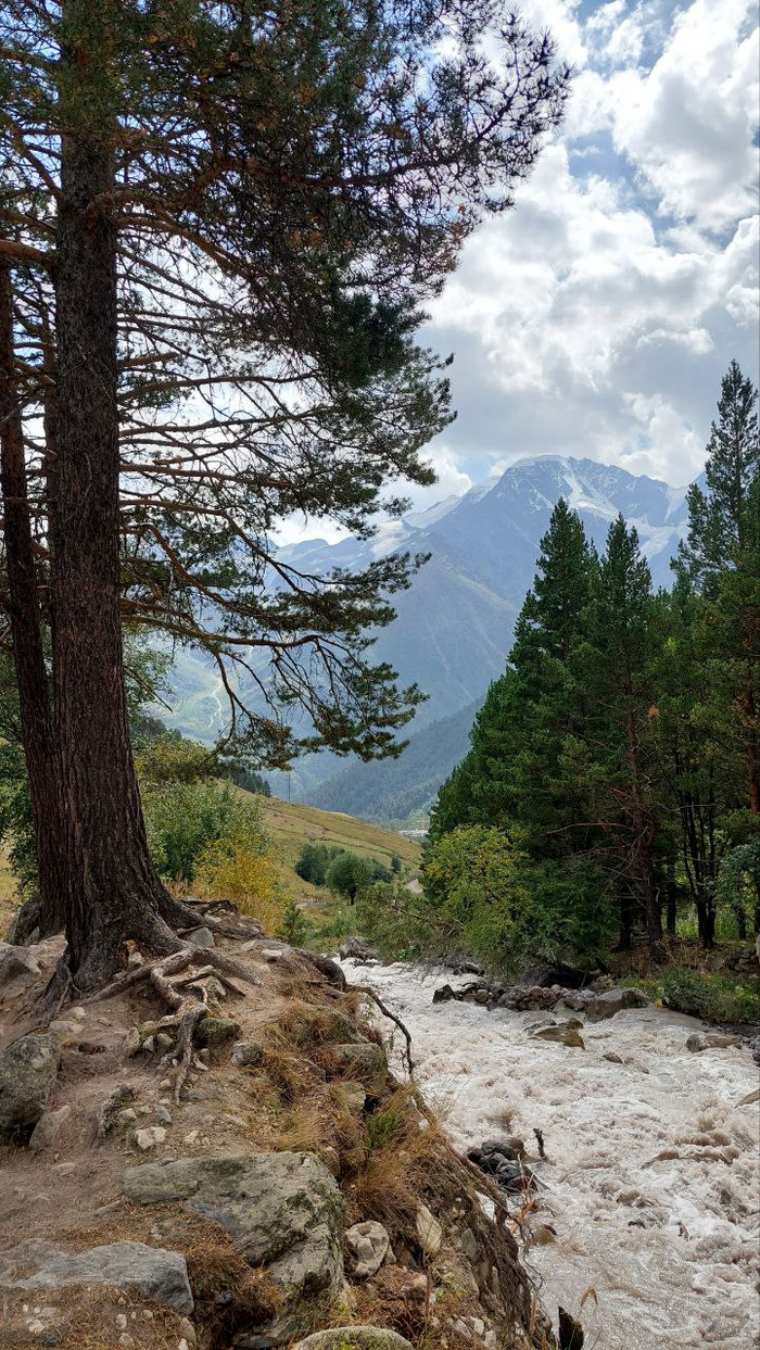 ��� �� ������ ������� �� ���� �������� ����������� ������