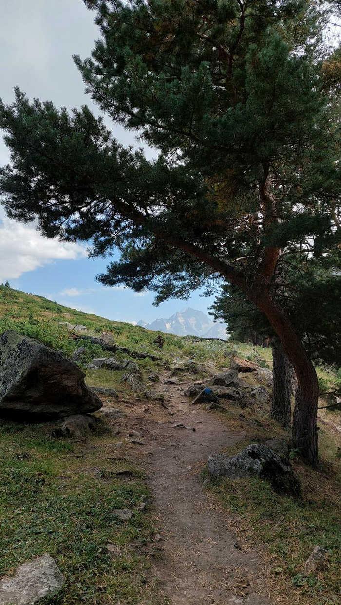 ����� ���� ������ ��������� ��������