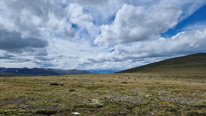 Болото маскируется под луг