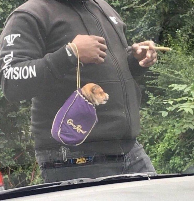  , , 