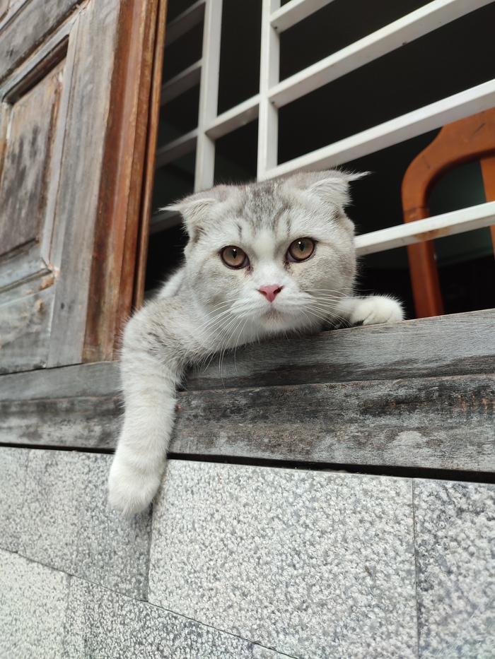 �������� �����