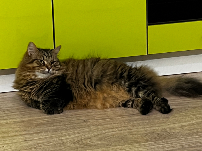 ����� � ���� ��� ������, ���� ������ ��������� ����� ��� ���, �������� ��������, ������� ����, ����������, ��������� ����������