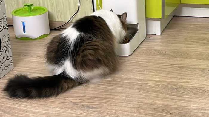 ����� � ���� ��� ������, ���� ������ ��������� ����� ��� ���, �������� ��������, ������� ����, ����������, ��������� ����������