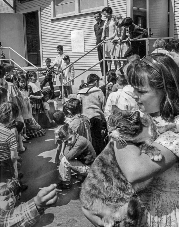 �������������� �������� ��� �� ����� �Room 8� ���, ���, ������, ����������