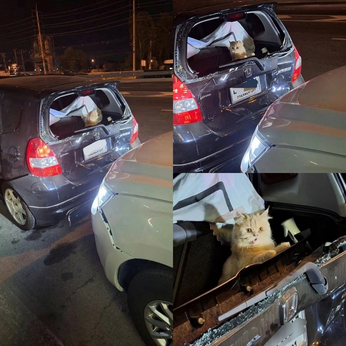 У него осталось 8 жизней