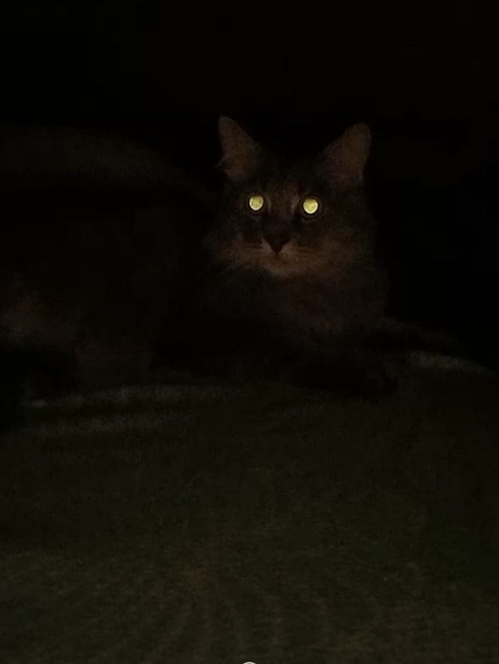 Врубил дальний