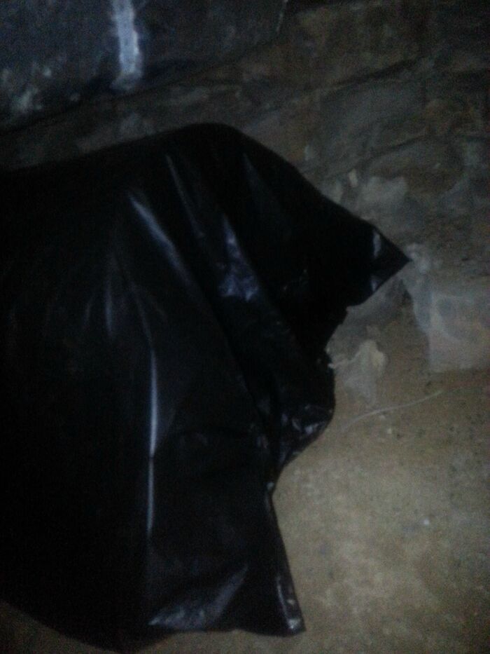 Сюрприз в пакете.