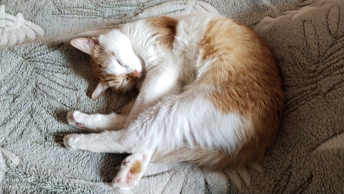 Мой первый пост на Пикабу, пусть будет.