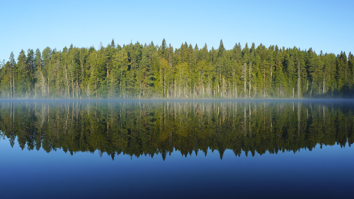 ������ ϸ����������