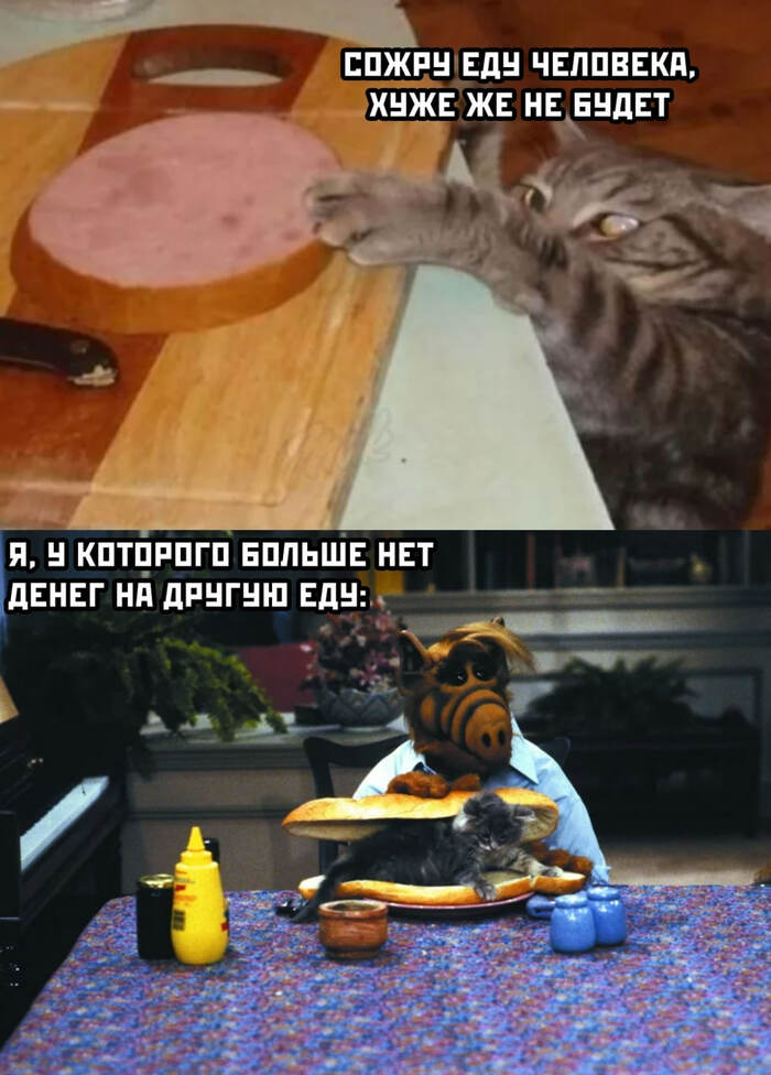 ... ,   , , Telegram (), , ,  