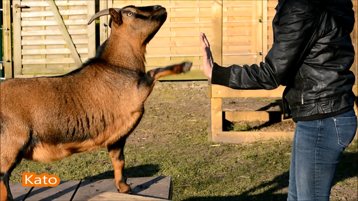 ��� ����� ������� ������ �������� ��������. ��������, "������", "��� ����", "�������" � ������ ������. ��������� ���� �������� ��� � ��������������� ��������� ����������!