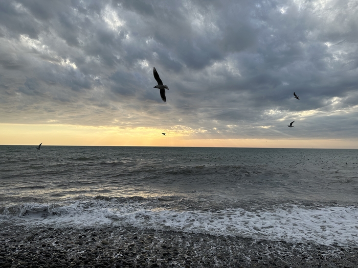 Собственно, море (28) | Пикабу