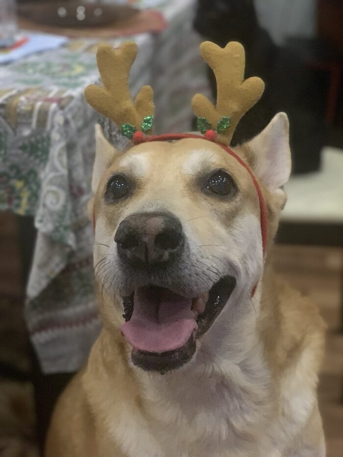 Всех с китайским новым годом, друзья!