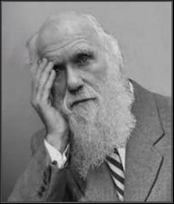 Рожденные в СССР не верят Дарвину