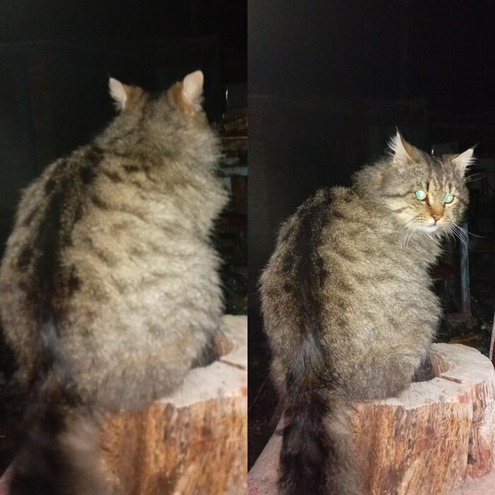     ? ,  , 