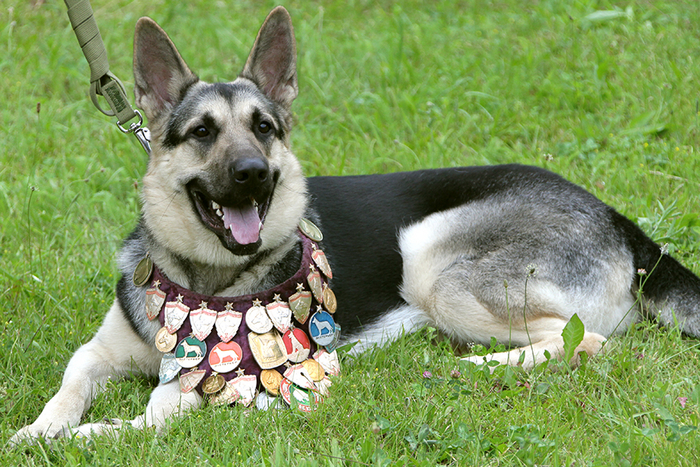 Заслуженный хороший мальчик!