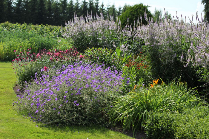 ��� ��������, �������, ��������: <!--noindex--><a href="https://pikabu.ru/story/landshaftnyiy_praktikum__58_khochu_veronikastrum_chast_2_udachnyie_i_neudachnyie_tsvetovyie_sochetaniya_11117737?u=http%3A%2F%2Finkodu.ee&t=inkodu.ee&h=13aaedd7093faab913a023d4ef531913d19e5a83" title="http://inkodu.ee" target="_blank" rel="nofollow noopener">inkodu.ee</a><!--/noindex-->