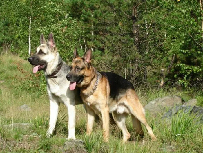 Ну, показывай, кто тебя назвал плохим мальчиком?