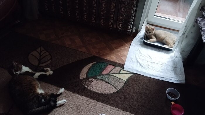   , , , 