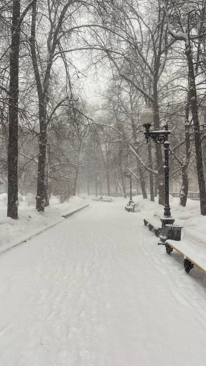   <a href="https://pikabu.ru/story/mistika_patriarshikh_11121708?u=https%3A%2F%2Ft.me%2FIlnara_Elki_Palki&t=https%3A%2F%2Ft.me%2FIlnara_Elki_Palki&h=b4d93a7edb8036bad860c6529924db470615a58a" title="https://t.me/Ilnara_Elki_Palki" target="_blank" rel="nofollow noopener">https://t.me/Ilnara_Elki_Palki</a>