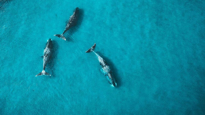 ���� �� ���������� ��������