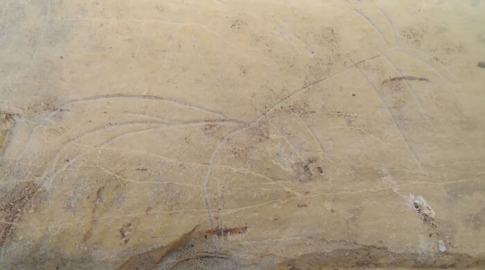 3.2 Что то с пышным хвостом, мордой и рогами?