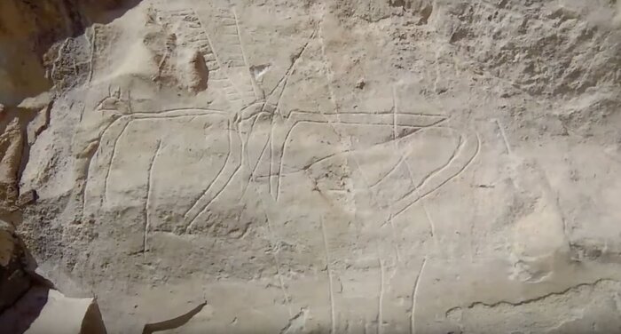 3.3 Два рогатых оленя бодаются?