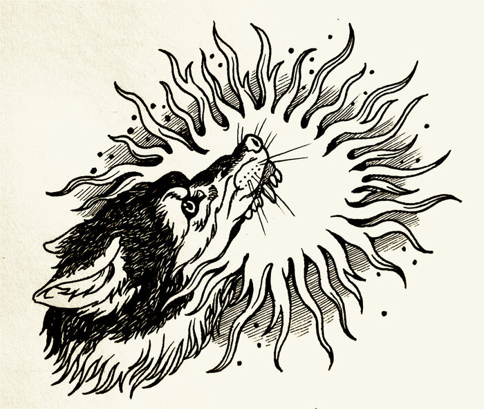 ���� ������ ������� �����������. ����������� �������