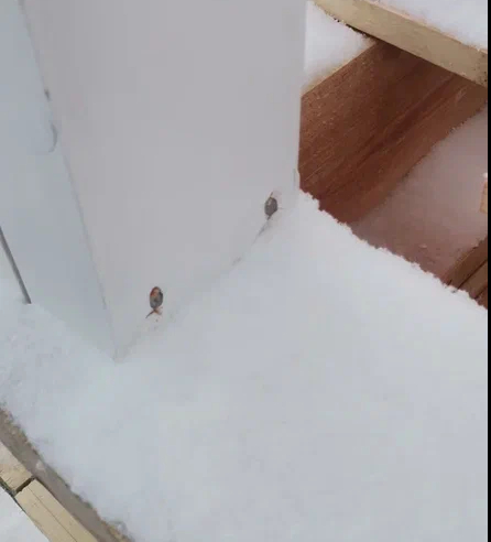 .  . *,        !  ...!